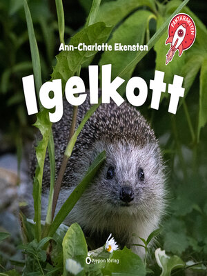 cover image of Igelkott